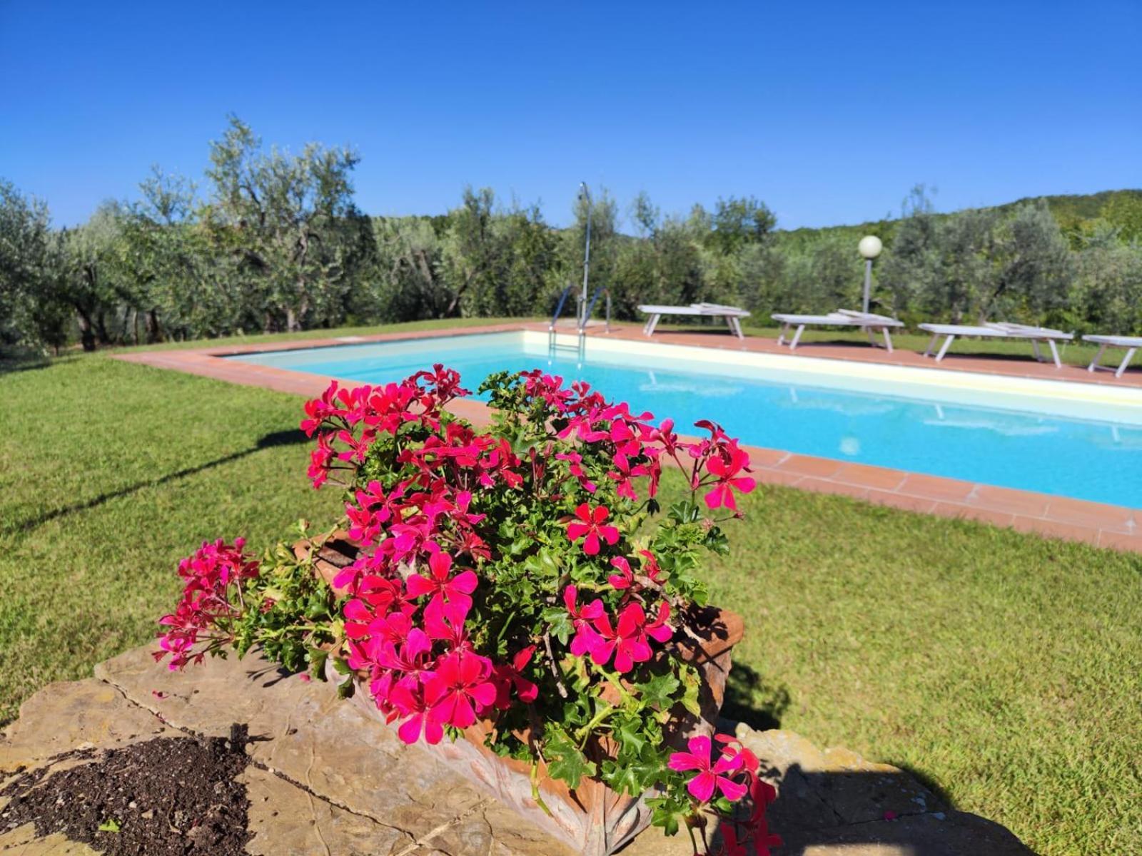 Agriturismo Sommassa 그레베 인 키안티 외부 사진